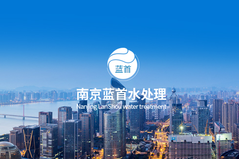 钦北建站-南京蓝首水处理设备有限公司